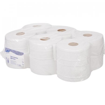 Туалетная бумага в рулонах Luscan Professional 2-слойная 12 рулонов по 170 метров