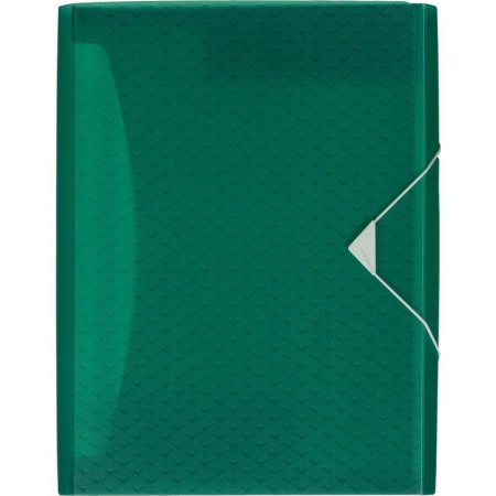Папка-органайзер Esselte Colour'Ice А4 зеленая 6 отделений (330x260 мм)