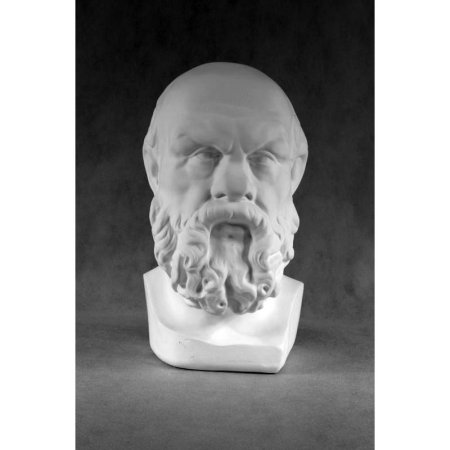 Модель гипсовая голова Сократа (для МАРХИ) 22x25x36 см