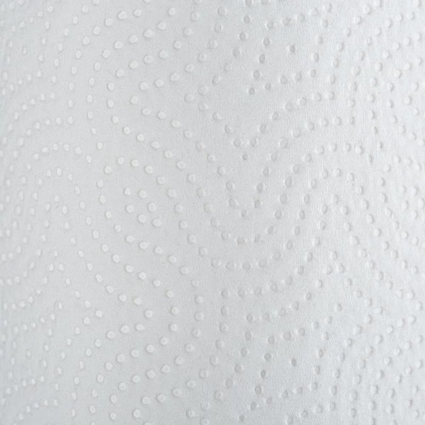 Полотенца бумажные Luscan Economy 2-слойные белые 2 рулона по 17 метров