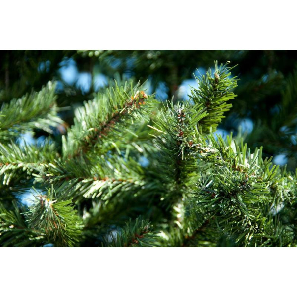 Елка новогодняя Green Trees Таежная напольная 90 см