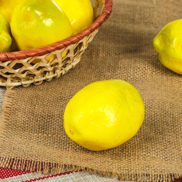 Муляж искусственный лимон