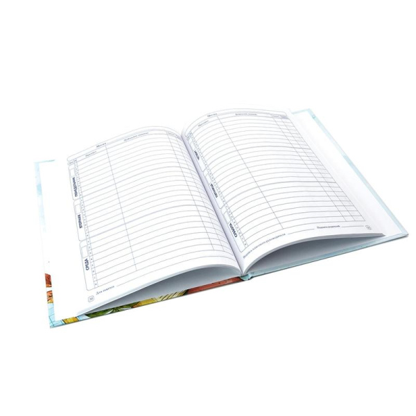 Дневник школьный Апплика с 1-4 классы Школьные предметы