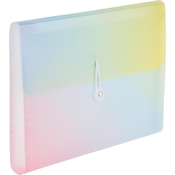 Папка органайзер Attache Selection Rainbow А4 с рисунком 7 отделений  (330x240 мм)