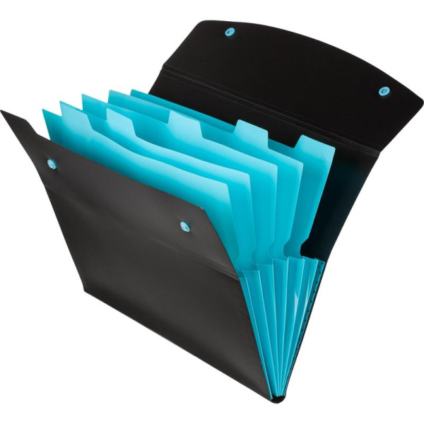 Папка-органайзер Attache Selection Black&Bluе А4 черная/голубая 6  отделений (325х245 мм)