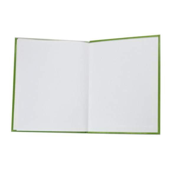 Дневник школьный Апплика с 1-11 классы салатовый твердая обложка