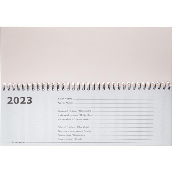 Планинг датированный 2023 год Attache Economy Flakes pink картон 64  листа разноцветный (300x100 мм)