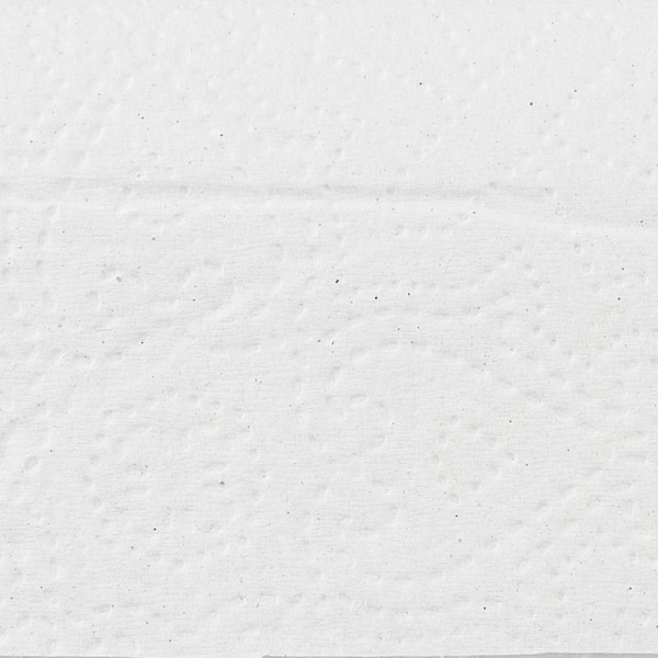 Полотенца бумажные листовые Luscan Economy Z-сложения 1-слойные 21 пачка по 190 листов (артикул производителя 1052061)