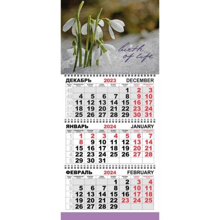 Календарь настенный 3-х блочный 2024 год Трио Стандарт Подснежники  (29.5x71 см)