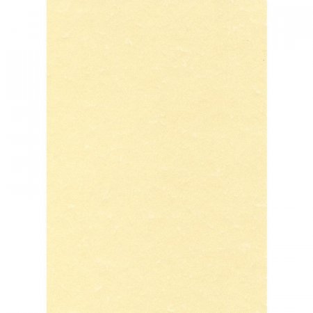 Дизайн-бумага Decadry Пергамент шампань (А4, 95 г/кв.м, 25 листов в упаковке)