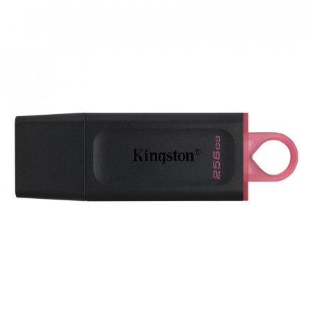 Флеш-память Kingston DataTraveler Exodia, USB 3.2 G1, роз/чер, DTX/256GB