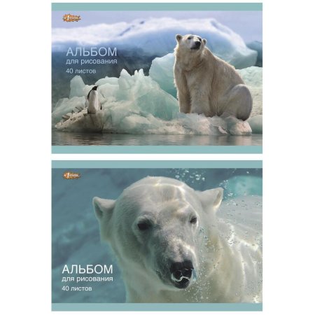 Альбом для рисования №1 School Белый медведь А4 40 листов (2 штуки в  упаковке)