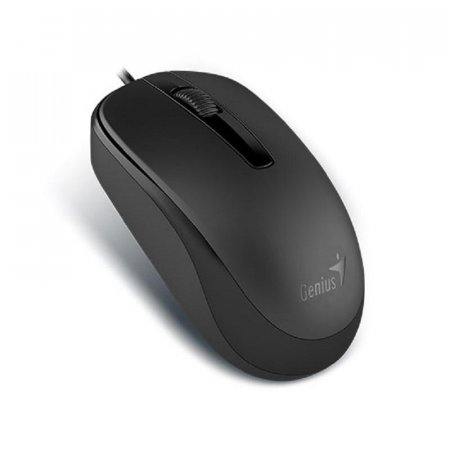 Мышь компьютерная Genius DX-120 черная (31010010400)