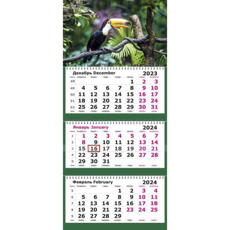 Календарь настенный 3-х блочный 2024 год Тукан (30.5x69.7 см)