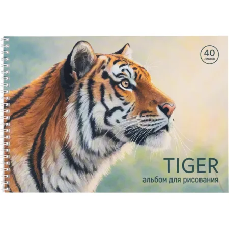 Альбом для рисования Комус Класс Сафари А4 40 листов (2 штуки в  упаковке)