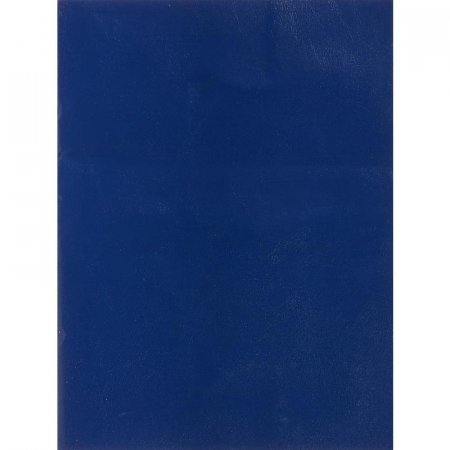 Тетрадь общая А4 96 листов в клетку на скрепке (обложка синяя)