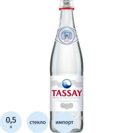 Вода питьевая Tassay негазированная 0.5 л Вода питьевая Tassay негазированная 0.5 л