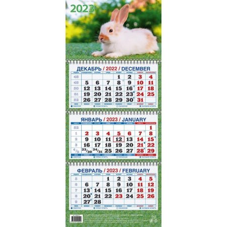 Календарь квартальный трехблочный настенный 2023 год Символ года  (195х465 мм)
