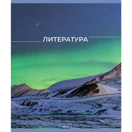 Тетрадь предметная по литературе №1 School Мир Знаний А5 48 листов  разноцветная в линию глянцевая ламинация