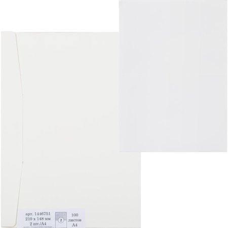 Этикетки самоклеящиеся 210х148 мм 2 штуки на листе белые (100 листов в  упаковке)
