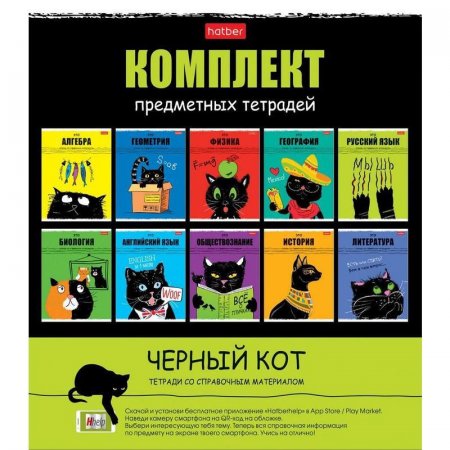 Набор тетрадей предметных Hatber Черный кот А5 48 листов (10 штук в  упаковке)