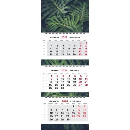 Календарь настенный 3-х блочный 2024 год Трио Монстера (29.5x71 см)