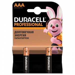Батарейки Duracell Professional мизинчиковые ААA LR03 (2 штуки в упаковке)