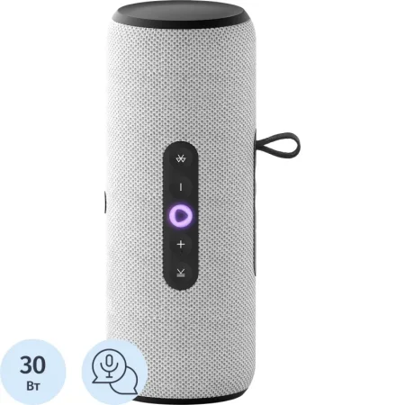 Умная колонка Яндекс Станция Стрит серая (YNDX-00030GRY) Умная колонка Яндекс Станция Стрит серая (YNDX-00030GRY)