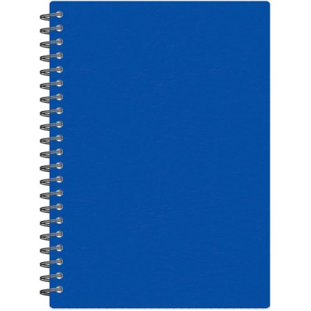 Бизнес-тетрадь Attache Economy А5 48 листов синяя в клетку на спирали  (210х150 мм)