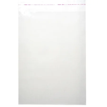 Пакет БОПП 25х35 см 30 мкм (100 штук в упаковке) Пакет БОПП 25х35 см 30 мкм (100 штук в упаковке)