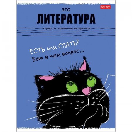 Тетрадь предметная по литературе Hatber Черный кот А5 48 листов
