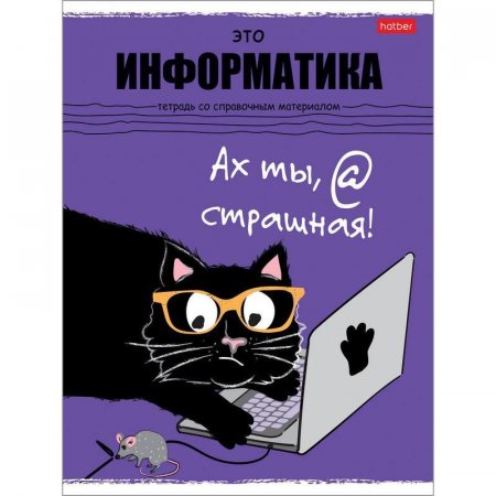 Тетрадь предметная по информатике Hatber Черный кот А5 48 листов