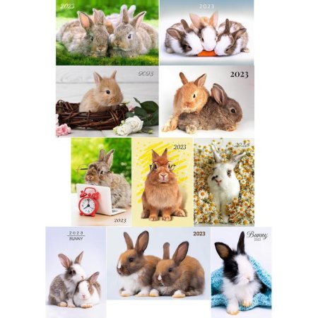 Календарь карманный на 2023 год Милые кролики (95х65 мм, 100 штук в  упаковке)