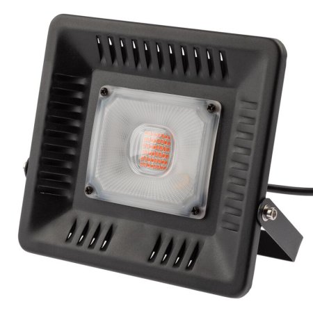 Фитопрожектор Эра Fito-50W-LED красно-синего спектра 50 Вт (Б0039033)
