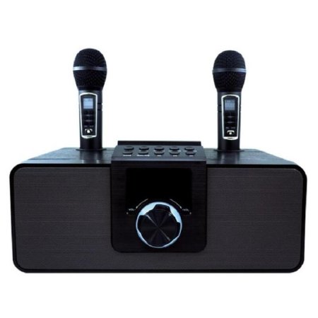Акустическая система Ritmix SP-660B черная с двумя микрофонами  (80003271)