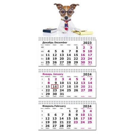 Календарь настенный 3-х блочный 2024 год Деловой Джек-рассел (30.5х69.7  см)
