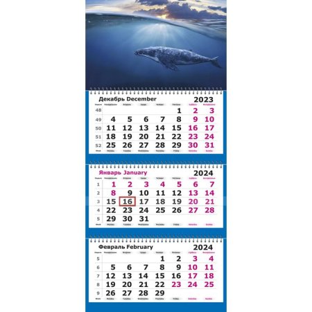 Календарь настенный 3-х блочный 2024 год Кит (30.5x69.7 см)