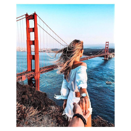 Картина по номерам Рыжий кот Вперед за мечтой: Сан-Франциско