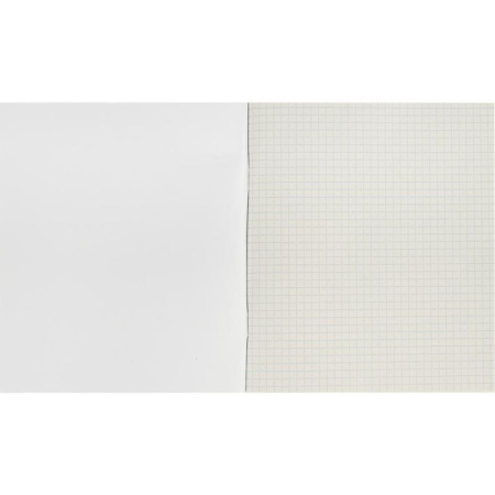 Тетрадь общая А5 96 листов в клетку на скрепке (обложка синяя)