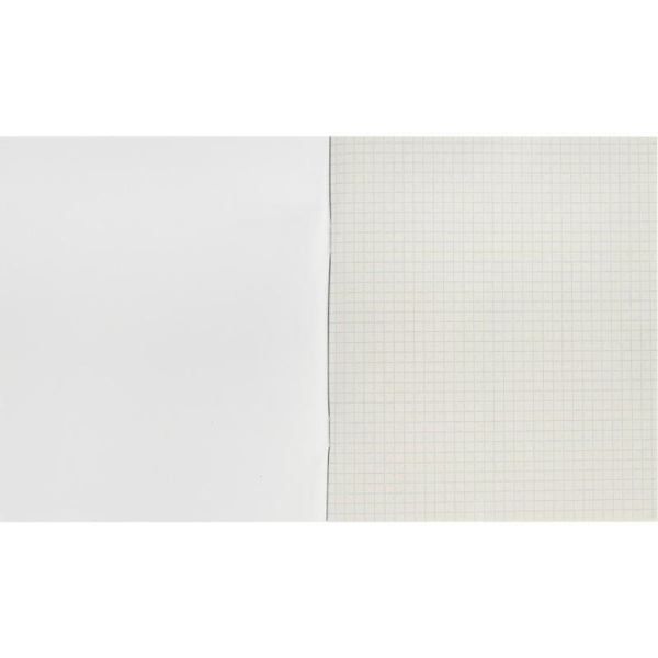 Тетрадь общая А5 96 листов в клетку на скрепке (обложка синяя)