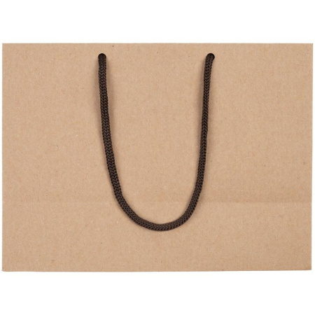 Пакет подарочный бумажный Крафт (23х17х10 см)