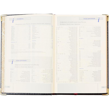 Ежедневник полудатированный Bruno Visconti Imperium натуральная кожа А5 208 листов черный (золотистый обрез, 145x216 мм) (артикул производителя 3-023/120)