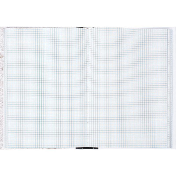 Книга учета бухгалтерская Attache типографская A4 196 листов в клетку на сшивке (обложка картон)