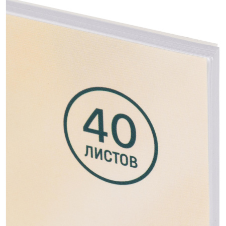 Альбом для рисования Комус Класс Сафари А4 40 листов (2 штуки в  упаковке)