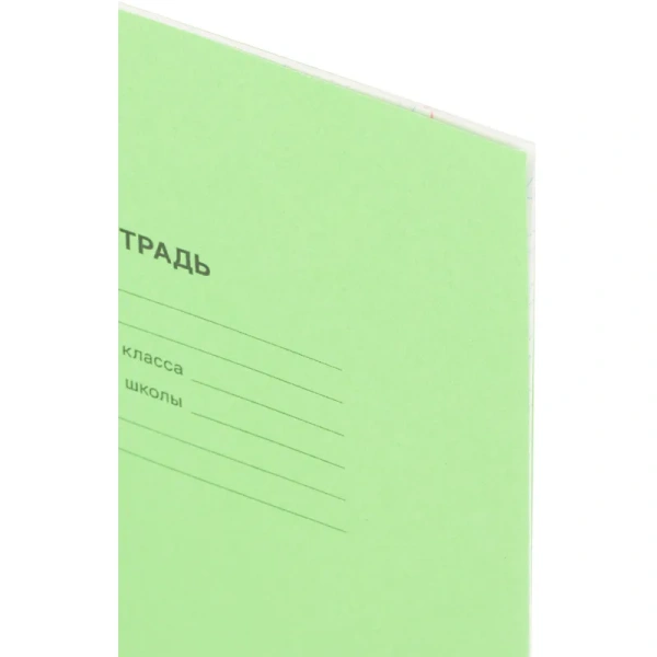 Тетрадь школьная зеленая А5 12 листов в косую линию (20 штук в упаковке)