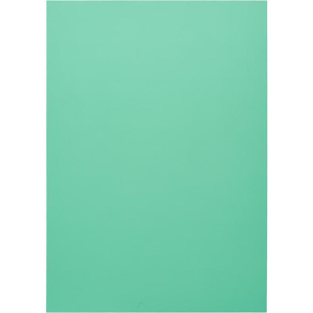 Обложки для переплета пластиковые ProMega Office зеленые, прозр., А4, 200мк