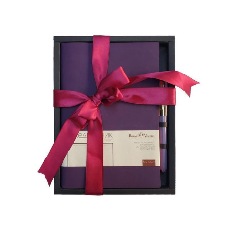 Набор подарочный Bruno Visconti Mercury фиолетовый (ежедневник и  шариковая ручка)