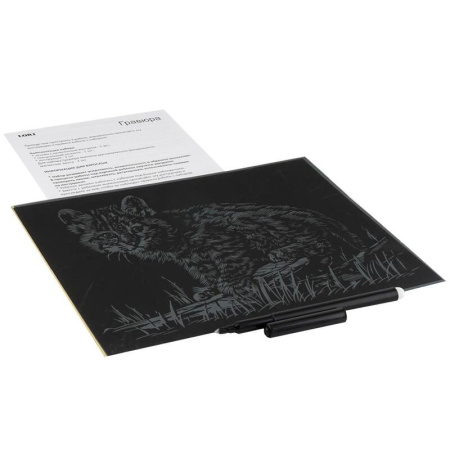 Гравюра Lori  Little Animals Рысенок 10х15 см