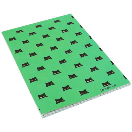 Блокнот Канц-Эксмо Прятки А5 40 листов в клетку на склейке