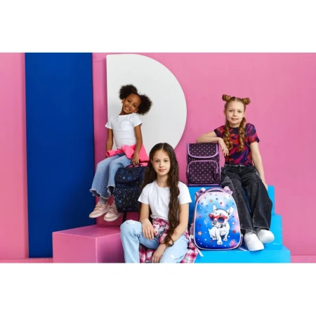 Ранец Комус Класс 3D Pug Dog с двумя отделениями